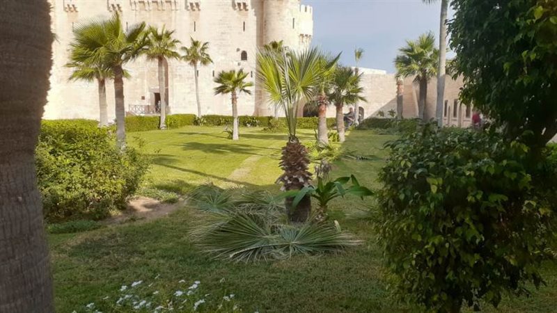 تنسيق حدائق قلعة