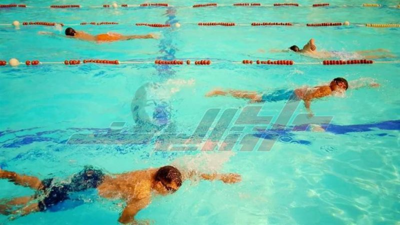 الدورة التدريبية