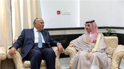 وزير الخارجية يناقش مع نظيره السعودي سبل تكثيف العمل المشترك لوقف التصعيد العسكري في غزة