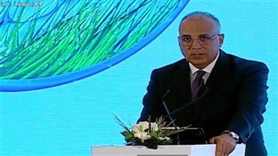 عاجل.. وزير الري: مصر مستمرة في مساعيها لاتفاق قانوني ملزم بشأن سد النهضة
