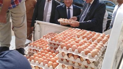 الزراعة تطلق 10 منافذ متحركة لبيع بيض المائدة بأسعار مخفضة