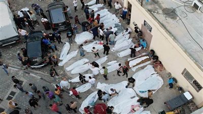 الصحة الفلسطينية: ارتفاع عدد الشهداء إلى 8005 بينهم 3342 طفلًا 