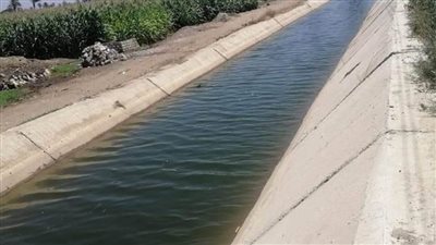 لترشيد مياه الري.. الانتهاء من تبطين 40 ترعة بنطاق قرى المنيا