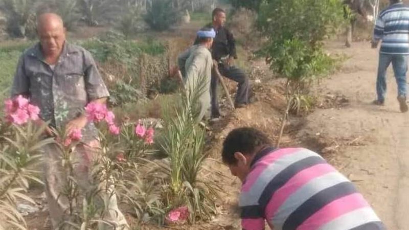 زراعة أشجار مثمرة