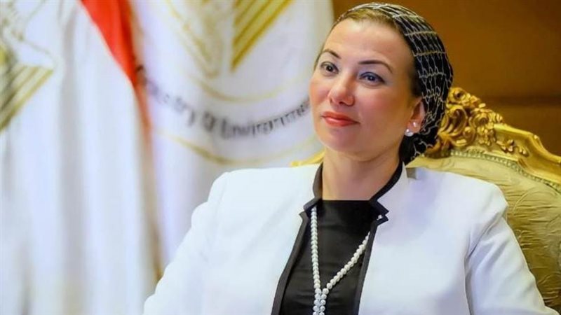 الدكتورة ياسمين فؤاد