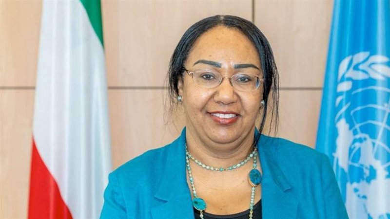 ممثل الأمين العام