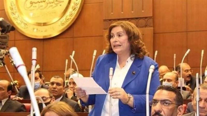 النائبة عايدة نصيف