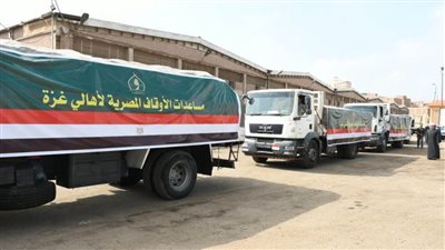 قافلة مساعدات الأوقاف المصرية الأولى تنطلق إلى معبر رفح.. اليوم