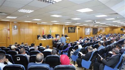 تنفيذي المنيا: 94 منفذًا للسلع ضمن مبادرة 