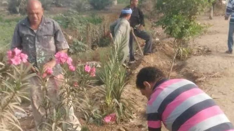 زراعة أشجار مثمرة