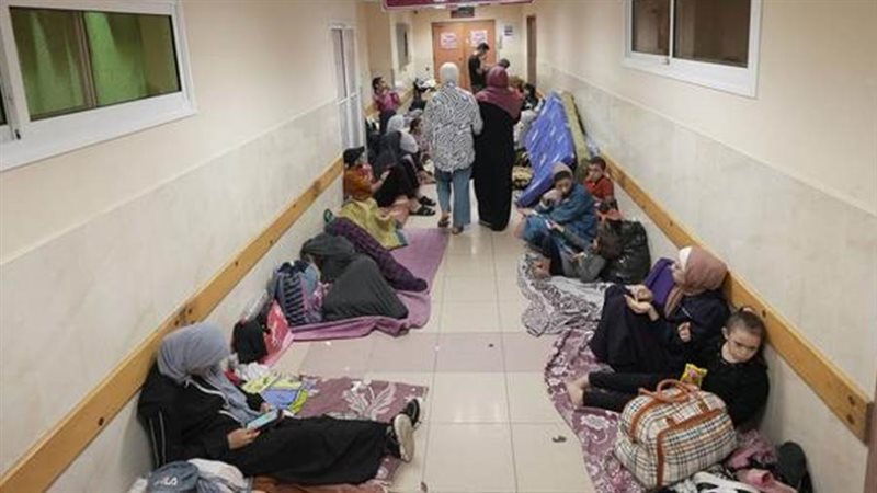 بوابة روز اليوسف