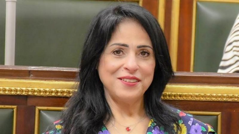 النائبة ميرال جلال