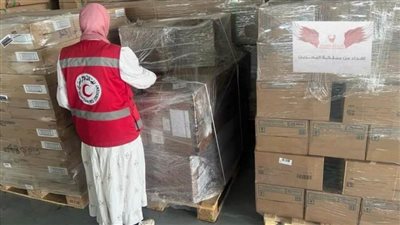 الشحنة الثانية للمساعدات البحرينية تصل إلى العريش لإدخالها إلى غزة  