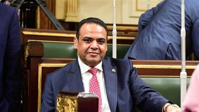 برلمانيون: مشاركة وزير الخارجية باجتماع الأردن تأكيد على موقف مصر تجاه القضية الفلسطينية