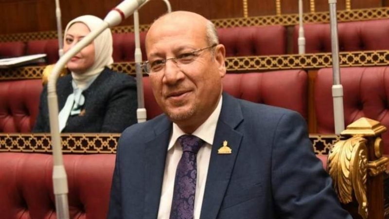 النائب عمرو عكاشة