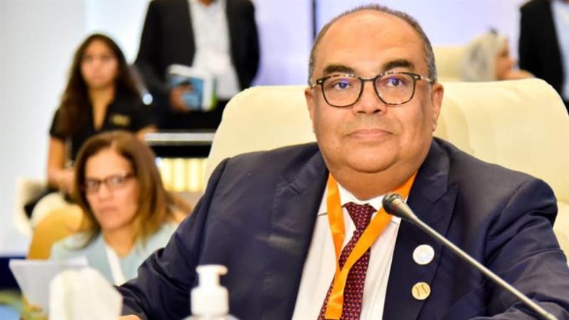 الدكتور محمود محيي