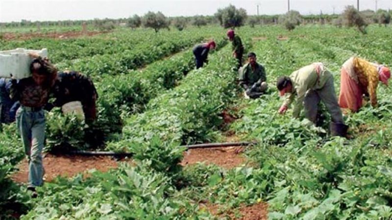 سيناء شهدت تنمية