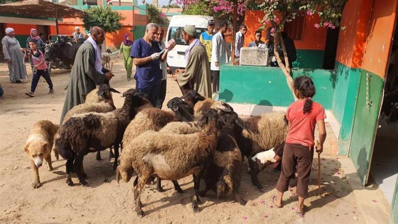 خدمات بيطرية مجانية