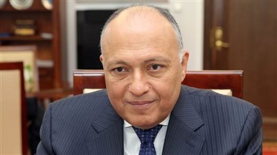 شكري: نرغب في التوصل لوقف إطلاق النار بغزة وإنهاء الصراع الإسرائيلي الفلسطيني 