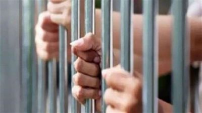 الأربعاء المقبل.. محاكمة 3 متهمين بقتل شخص لخلافات بينهم في بنها 