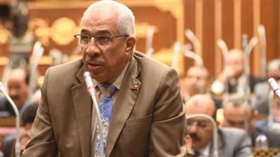 وكيل طاقة الشيوخ: الطاقة النظيفة تحقق لمصر قدرًا أكبر من الأمان والتنمية