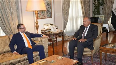 عاجل.. وزير الخارجية يستقبل نظيره الفنزويلي 