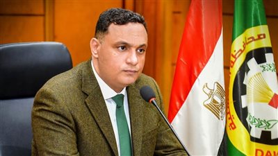 محافظ الدقهلية: مصر ستظل شامخة عصية على الأعداء