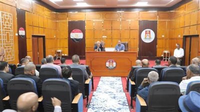 محافظ الوادي الجديد يوجه بفتح ممرات بين المزارع