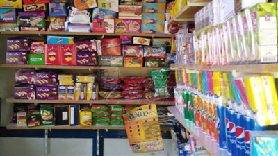 الأورمان: تمول 377 مشروعُا بتكلفة 7.5 مليون جنيه لدعم الأسر الأولى بالرعاية بكفر الشيخ