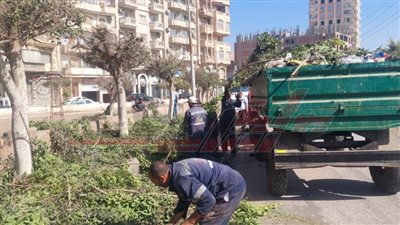 جهود مكثفة لرفع القمامة والمخلفات بكفر الشيخ 