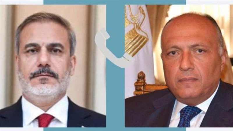 وزير الخارجية ونظيره