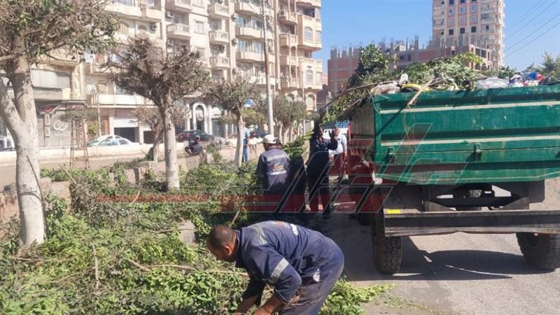 رفع القمامة والمخلفات