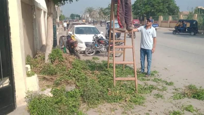 حملات نظافة