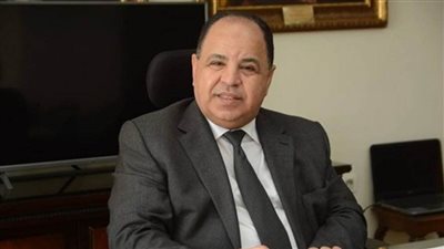 عاجل.. وزير المالية: القيادة السياسية تحرص دائما على دعم وتشجيع الاستثمارات التركية في مصر
