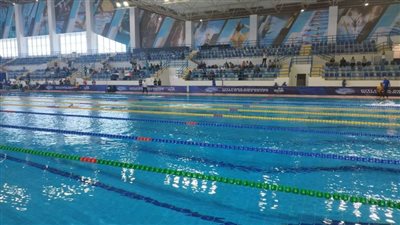 أمريكا تعتذر عن عدم المشاركة في بطولة مصر الدولية للسباحة البارالمبية