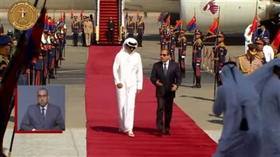 برلماني: زيارة أمير قطر تعكس دور مصر الرائد في المنطقة