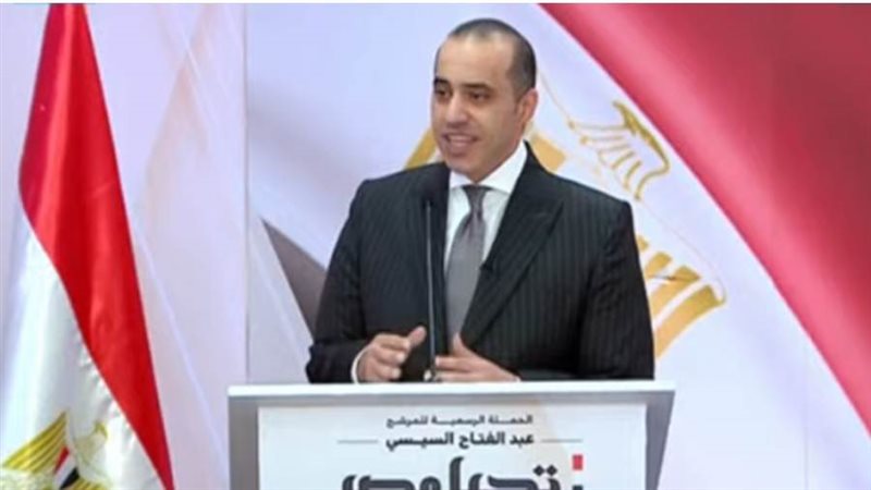 المستشار محمود فوزي