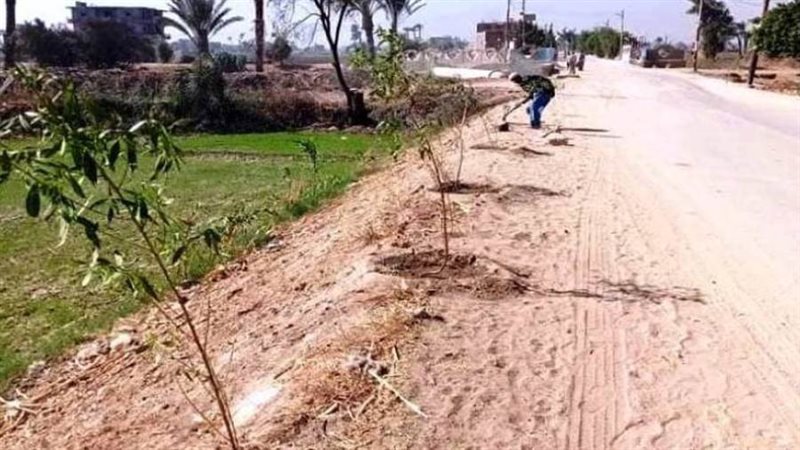 جهود مبادرة 100 مليون