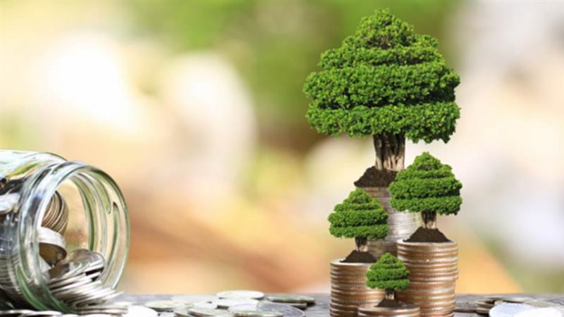 مبادرة المشروعات