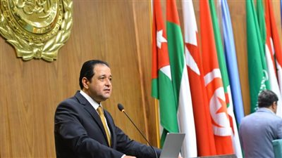 عابد: مشاركة السيسي بالقمة العربية الإسلامية تؤكد حرصه الدائم لدعم القضية الفلسطينية