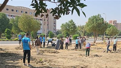 استكمال زراعة ١٠٠٠ شجرة مثمرة ضمن فعاليات معسكر قوافل جامعة سوهاج