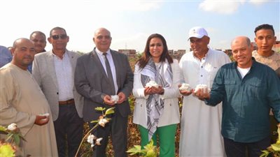 نائب محافظ البحيرة تشهد بدء موسم جني القطن بقرية بركة غطاس بأبوحمص