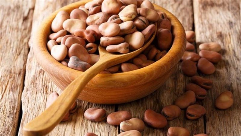 الفول البلدي - أرشيفية