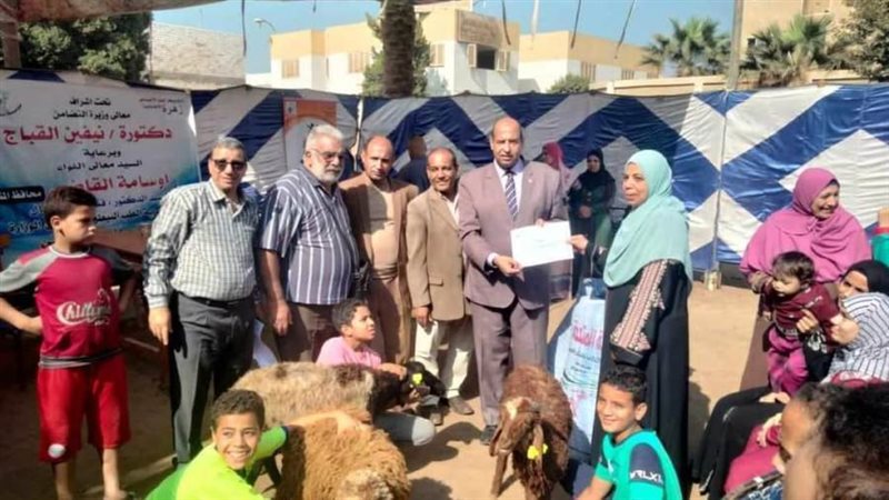 توزيع رؤوس ماشيه