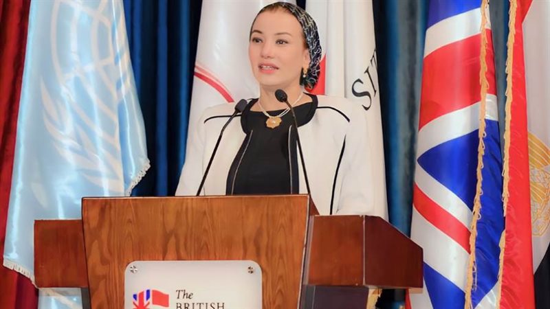 الدكتورة ياسمين فؤاد