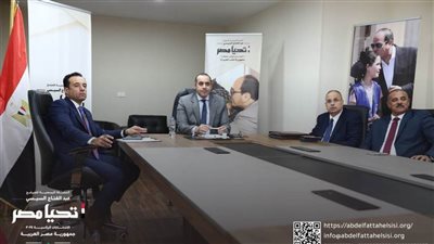 الحملة الرسمية للمرشح الرئاسي عبد الفتاح السيسي تلتقي بالمصريين في الخارج 