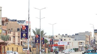 حزب حماة الوطن بشمال سيناء يبدأ حملته لدعم الرئيس بالانتخابات الرئاسية