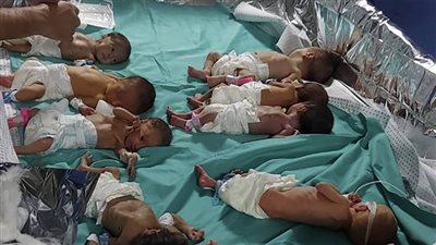 عاجل.. تنسيق مصري لإجلاء الأطفال المبتسرين من مستشفى الشفاء