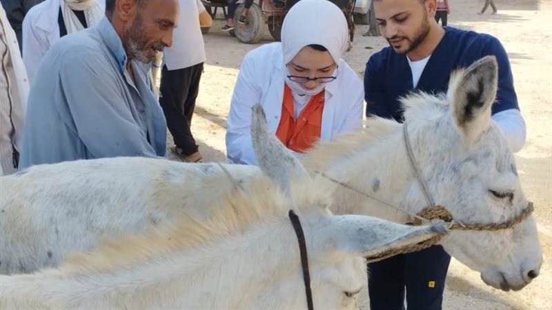 قافلة بيطرية