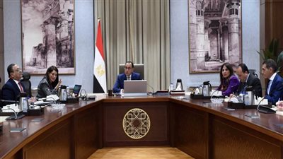 رئيس الوزراء يتابع جهود توفير التمويلات الإنمائية المُيسرة المرتبطة بالمناخ والمحفزة للقطاع الخاص